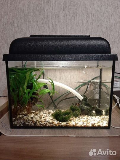 Аквариум 15л