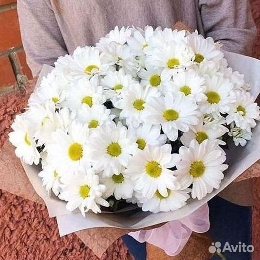 Хризантема. Букеты Цветы доставка