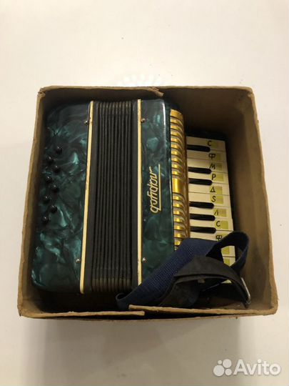 Аккордеон детский