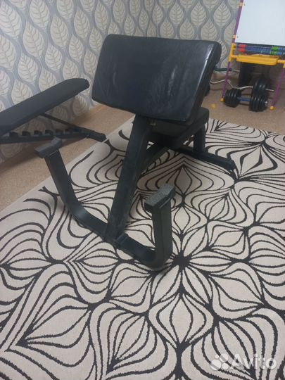 Скамья Скотта Body Solid
