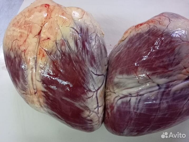 Мясо говядина оптом,Говядина вырезка, Субпродукты