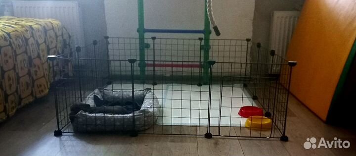 Вольер для щенков в квартиру
