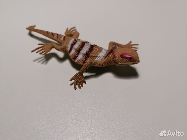 Геккон бананоед