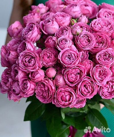 Пионовидные кустовые розы