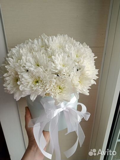 Хризантемы кустовые