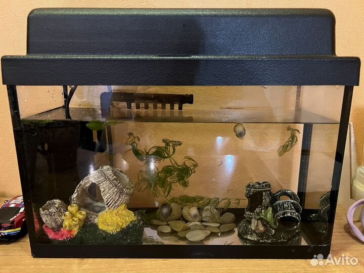 Аквариум-Террариум