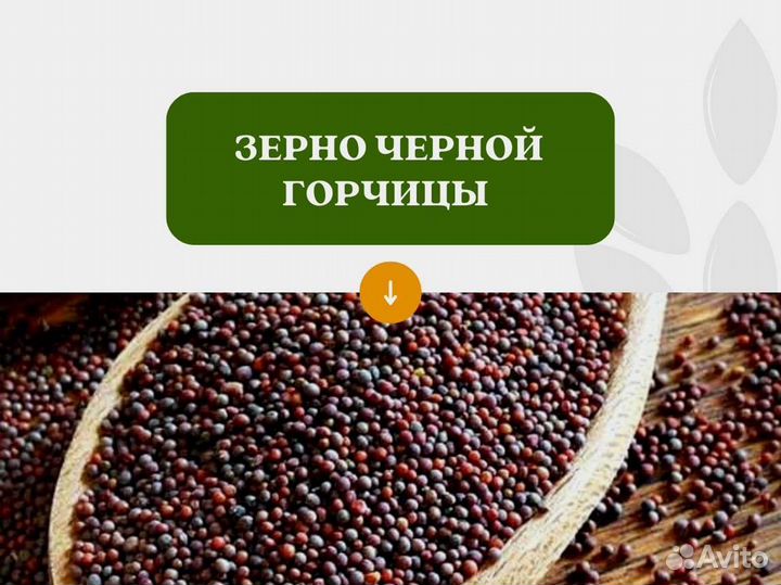 Чёрная горчица (кг)