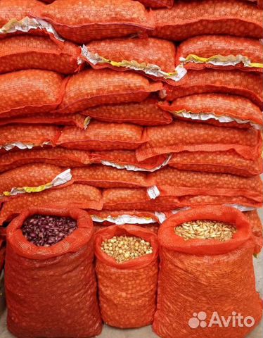 Лук севок оптом