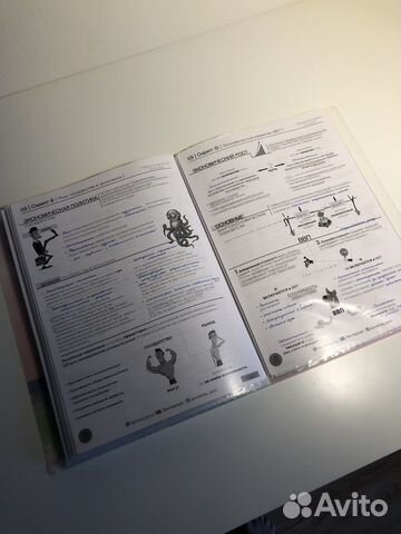 Подготовка к егэ обществознание