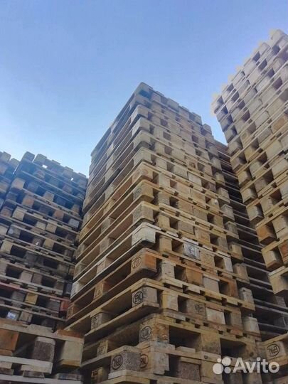 Поддоны Пушкино