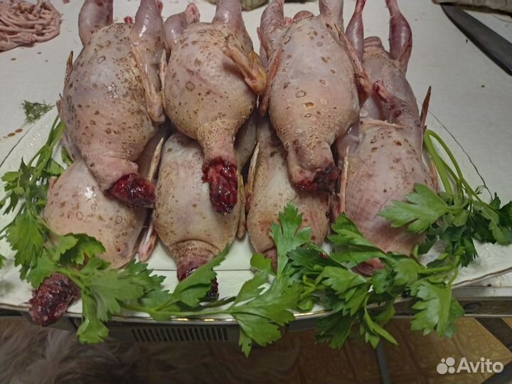 Мясо перепелов