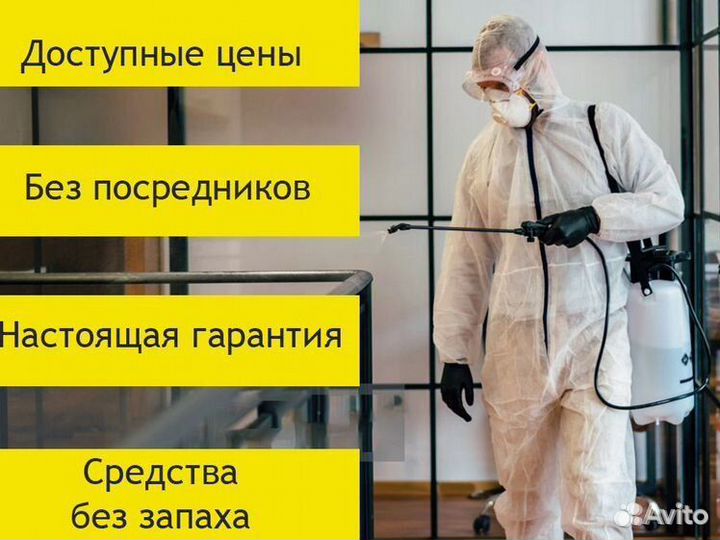 Дезинсекция любой сложности