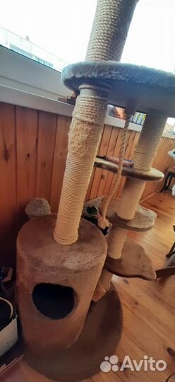 Домик для кошки бу