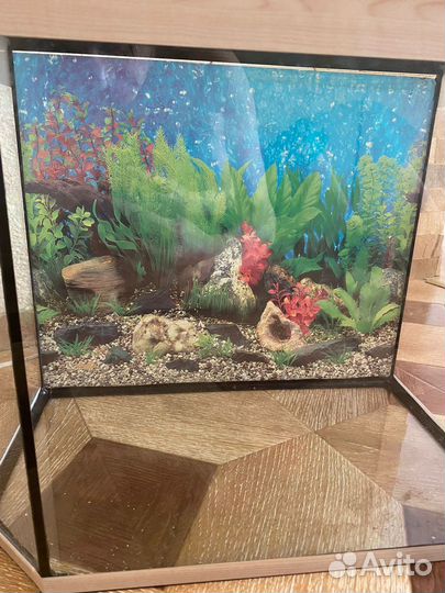 Аквариум с крышкой