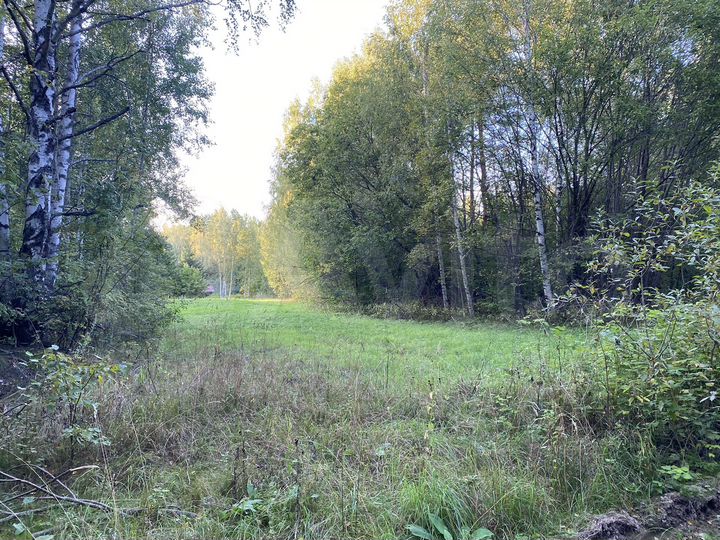 Участок 26 сот. (ИЖС)