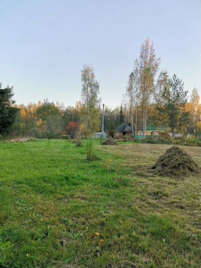 Участок 30 сот. (СНТ, ДНП)