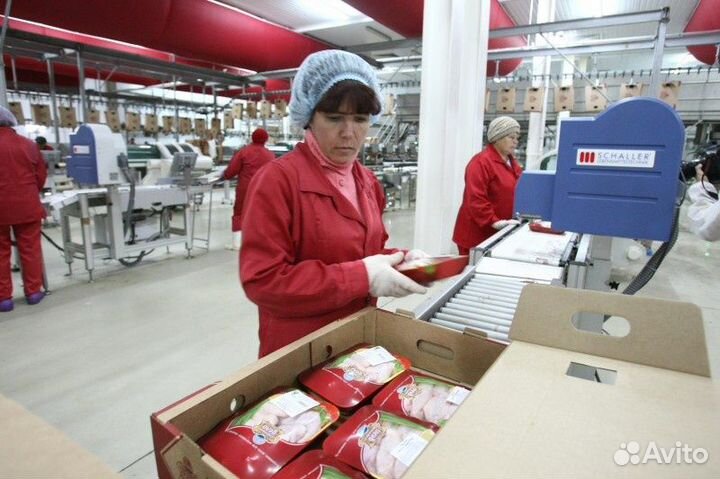 Фасовщик на производство вахта(проживание+питание)