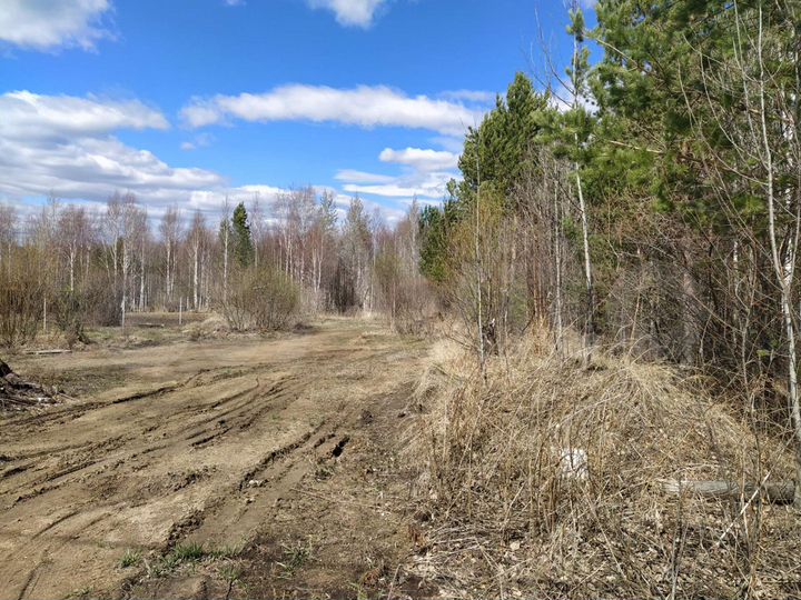 Участок 10 сот. (СНТ, ДНП)