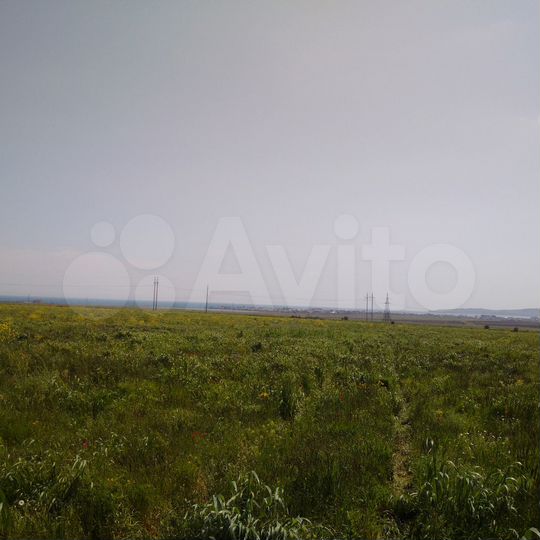 Участок 5 га (СНТ, ДНП)