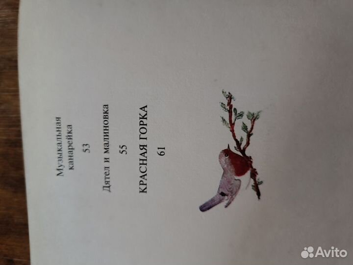 Мишка-башка В. Бианки