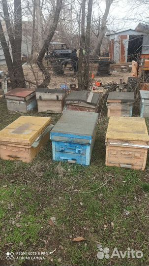 Улья лежаки