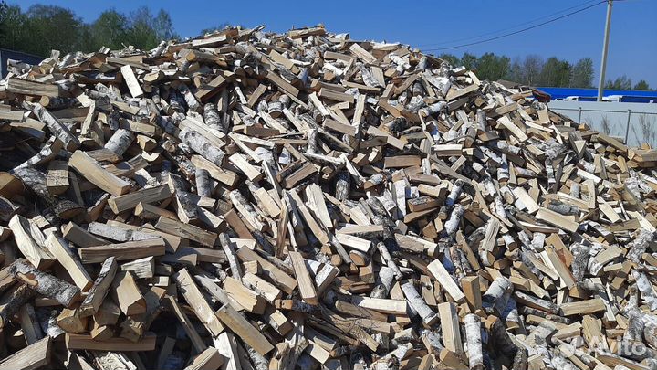 Дрова осина