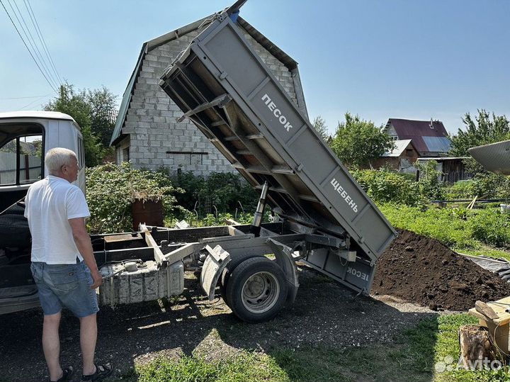 Газелька чернозёма