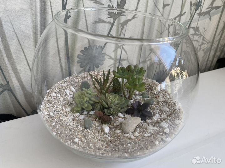 Флорариум на заказ