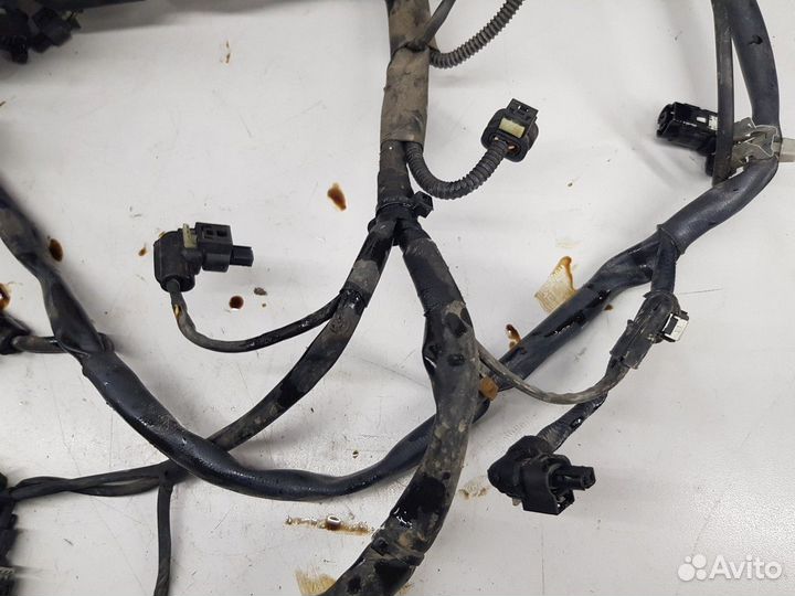 Электропроводка (моторная)