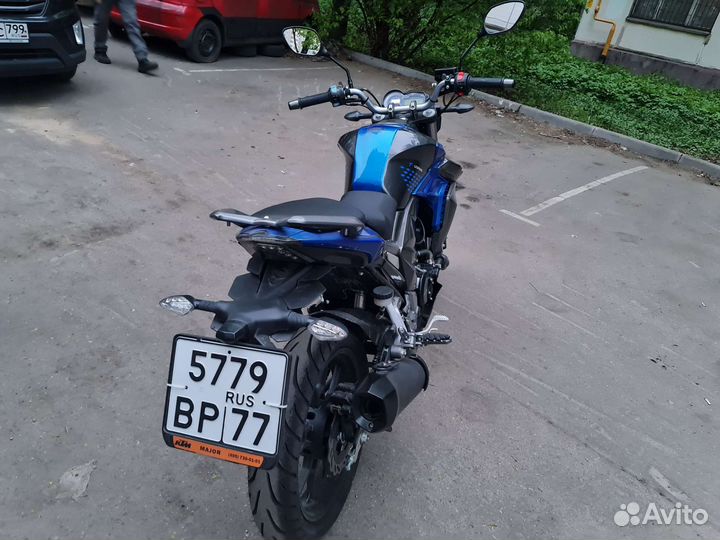 Regulmoto T-Leopard 300