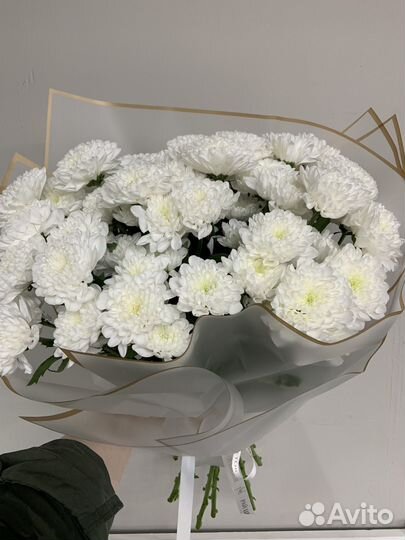9 Хризантем в букете, есть доставка