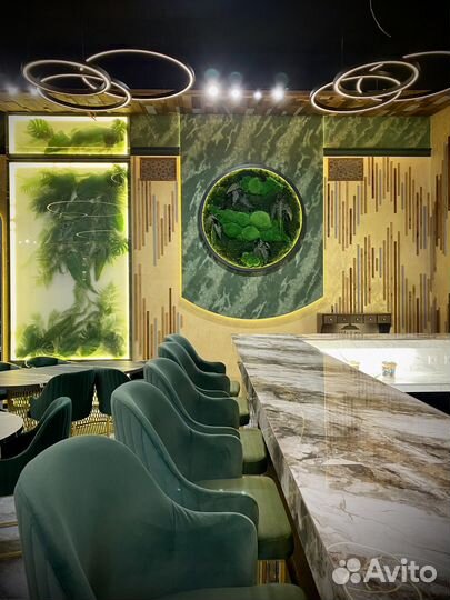 Стабилизированный мох. Озеленение. Ягель