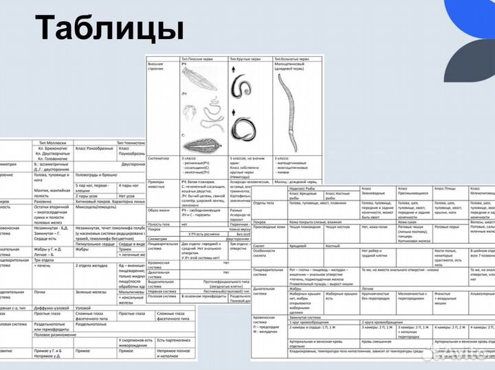 Репетитор по биологии ОГЭ ЕГЭ