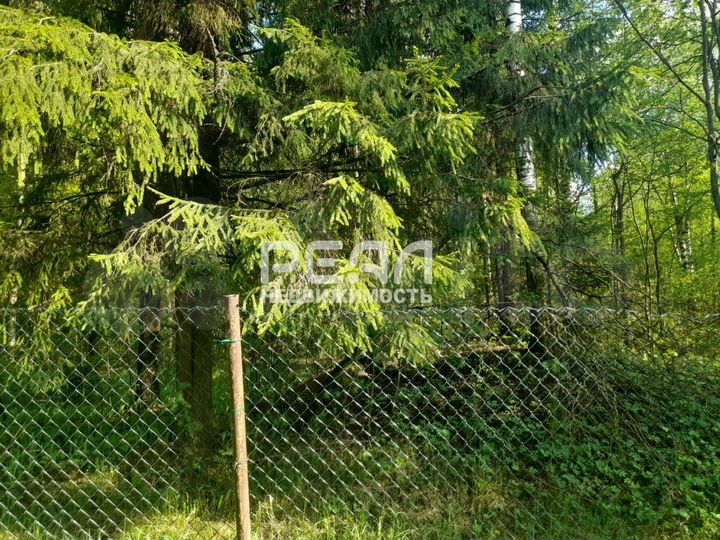 Участок 15 сот. (личное подсобное хозяйство (лпх))