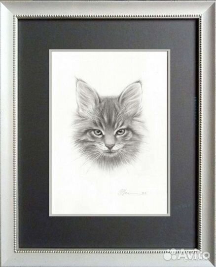 Картины графика 