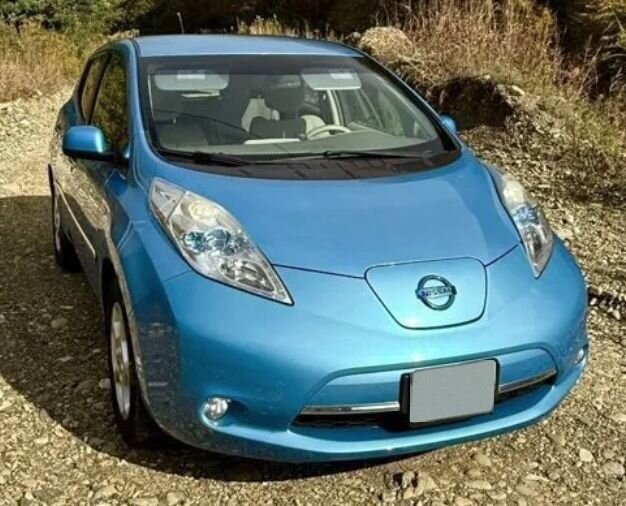 Nissan Leaf: фото владельца