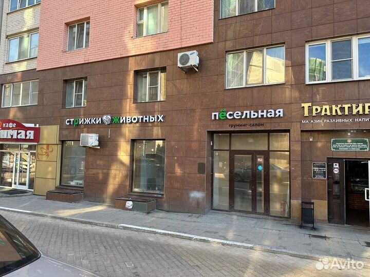 Стрижка собак у начинающего мастера