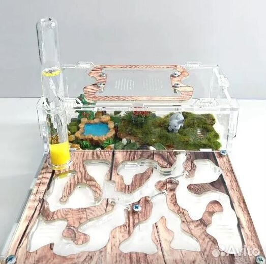 Муравьиная ферма. Разных размеров