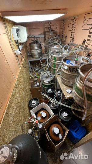 Магазин разливного пива под ключ