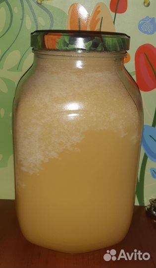 Мед липовый первой качки с собственной пасеки