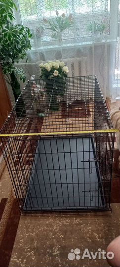 Клетка для собак