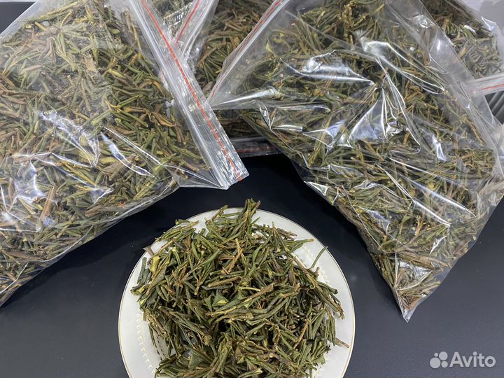 Саган дайля