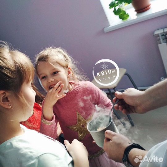 Крио шоу. Изготовление мороженого. Серебряное шоу