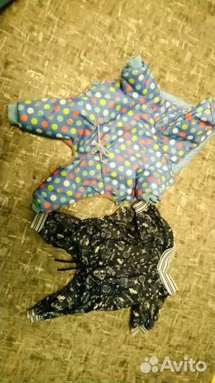 Комбинезоны для маленькой собаки