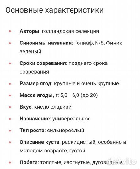 Крыжовник Финик