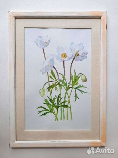 Картина, ботаническая акварель