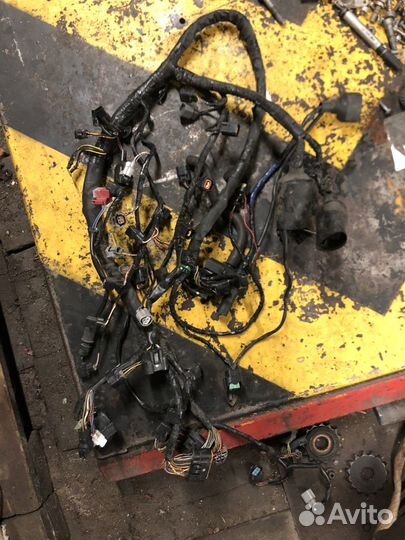 Kawasaki zx6r 09-12 проводка америка