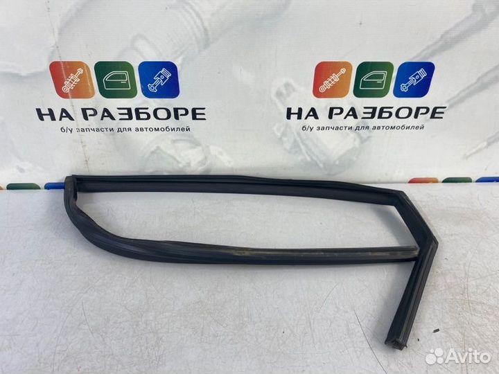 Уплотнительная резинка стекла двери задняя левая