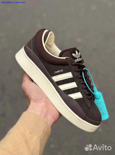 Adidas Campus bad bunny