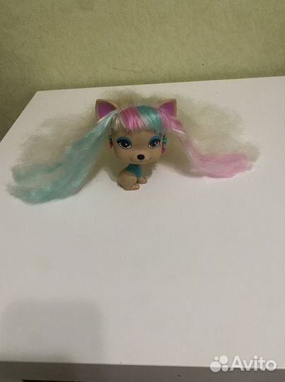 Vip pets собачка